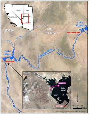 A three-part coupled statistical and physical model to monitor water quality parameters governing disinfection byproduct risk at an urban drinking water intake